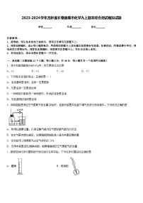 2023-2024学年吉林省长春德惠市化学九上期末综合测试模拟试题含答案