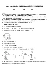 2023-2024学年吉林省长春市朝阳区九年级化学第一学期期末监测试题含答案