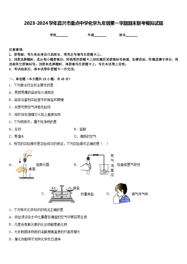 2023-2024学年嘉兴市重点中学化学九年级第一学期期末联考模拟试题含答案01