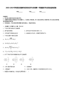 2023-2024学年四川成都市成华区化学九年级第一学期期末学业质量监测试题含答案