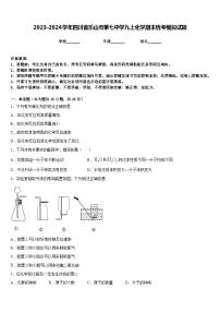 2023-2024学年四川省乐山市第七中学九上化学期末统考模拟试题含答案