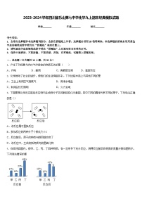 2023-2024学年四川省乐山第七中学化学九上期末经典模拟试题含答案