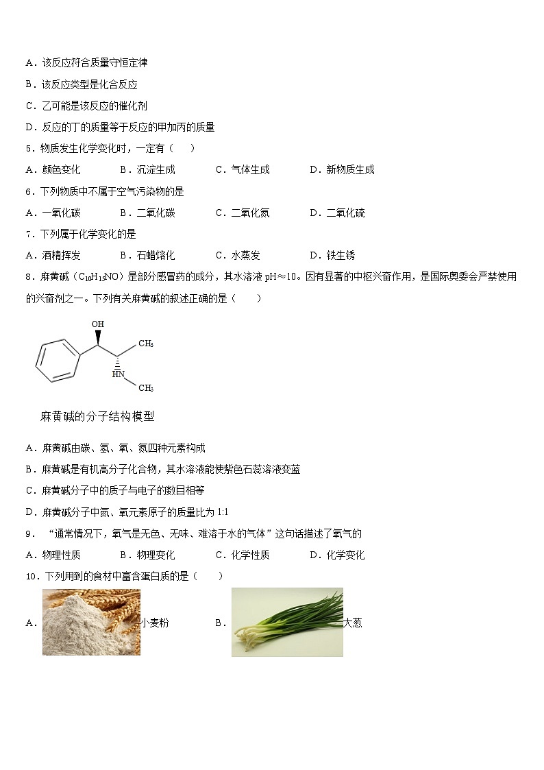 2023-2024学年四川省乐山第七中学化学九上期末经典模拟试题含答案第2页