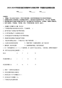 2023-2024学年四川省乐至县联考九年级化学第一学期期末监测模拟试题含答案