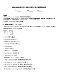 2023-2024学年四川省凉山化学九上期末监测模拟试题含答案