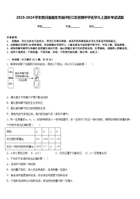 2023-2024学年四川省南充市高坪区江东初级中学化学九上期末考试试题含答案