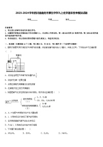 2023-2024学年四川省南充市第五中学九上化学期末统考模拟试题含答案