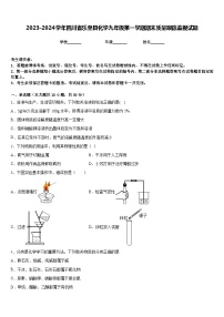 2023-2024学年四川省乐至县化学九年级第一学期期末质量跟踪监视试题含答案