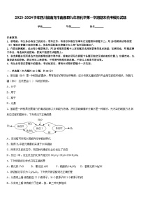 2023-2024学年四川省南充市南部县九年级化学第一学期期末统考模拟试题含答案