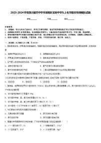 2023-2024学年四川省巴中学市恩阳区实验中学九上化学期末检测模拟试题含答案