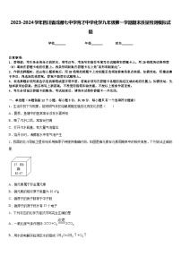 2023-2024学年四川省成都七中学育才中学化学九年级第一学期期末质量检测模拟试题含答案