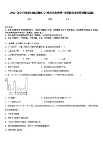 2023-2024学年四川省成都市八中化学九年级第一学期期末质量检测模拟试题含答案