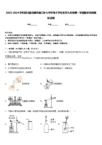 2023-2024学年四川省成都市锦江区七中学育才学校化学九年级第一学期期末检测模拟试题含答案