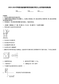 2023-2024学年四川省成都市青羊区部分学校九上化学期末经典试题含答案