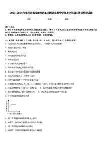 2023-2024学年四川省成都市青羊区树德实验中学九上化学期末质量检测试题含答案