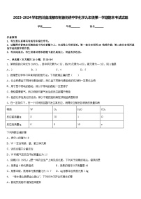 2023-2024学年四川省成都市树德协进中学化学九年级第一学期期末考试试题含答案