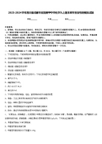 2023-2024学年四川省成都市双流黄甲中学化学九上期末教学质量检测模拟试题含答案