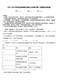 2023-2024学年四川省成都市武侯区九年级化学第一学期期末监测试题含答案