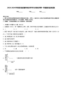 2023-2024学年四川省成都市西川中学九年级化学第一学期期末监测试题含答案