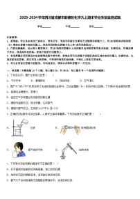 2023-2024学年四川省成都市新都区化学九上期末学业质量监测试题含答案