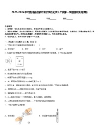 2023-2024学年四川省成都市育才学校化学九年级第一学期期末预测试题含答案