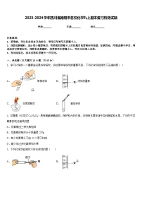 2023-2024学年四川省德阳市名校化学九上期末复习检测试题含答案