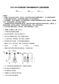 2023-2024学年四川省广安邻水县联考化学九上期末检测试题含答案