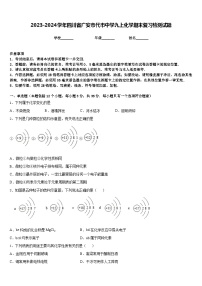 2023-2024学年四川省广安市代市中学九上化学期末复习检测试题含答案