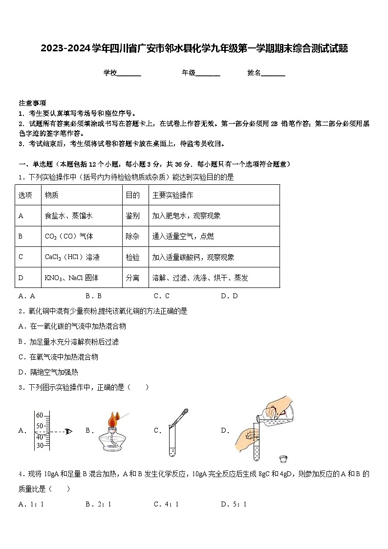 2023-2024学年四川省广安市邻水县化学九年级第一学期期末综合测试试题含答案第1页