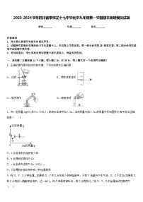 2023-2024学年四川省攀枝花十七中学化学九年级第一学期期末调研模拟试题含答案