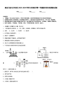 黑龙江省大庆市名校2023-2024学年九年级化学第一学期期末综合测试模拟试题含答案