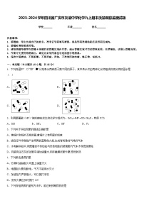 2023-2024学年四川省广安市友谊中学化学九上期末质量跟踪监视试题含答案