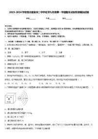 2023-2024学年四川省宜宾二中学化学九年级第一学期期末达标检测模拟试题含答案