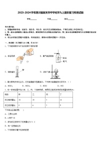 2023-2024学年四川省宜宾市中学化学九上期末复习检测试题含答案