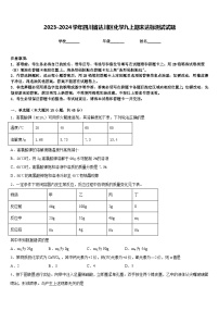 2023-2024学年四川省达川区化学九上期末达标测试试题含答案