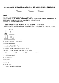 2023-2024学年四川省达州市崇德实验学校化学九年级第一学期期末统考模拟试题含答案