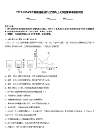 2023-2024学年四川省达州市大竹县九上化学期末联考模拟试题含答案