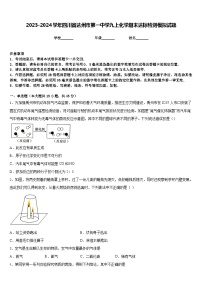 2023-2024学年四川省达州市第一中学九上化学期末达标检测模拟试题含答案