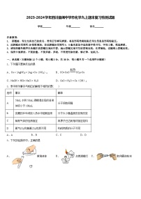 2023-2024学年四川省阆中学市化学九上期末复习检测试题含答案