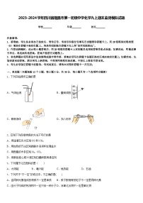 2023-2024学年四川省隆昌市第一初级中学化学九上期末监测模拟试题含答案