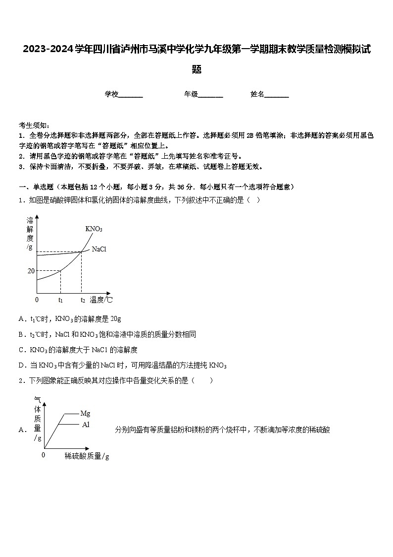 2023-2024学年四川省泸州市马溪中学化学九年级第一学期期末教学质量检测模拟试题含答案第1页