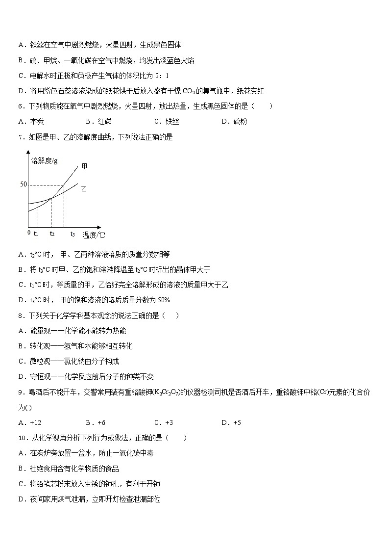 2023-2024学年四川省泸州市马溪中学化学九年级第一学期期末教学质量检测模拟试题含答案第3页