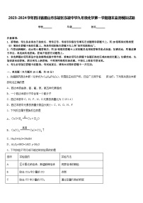 2023-2024学年四川省眉山市东坡区东坡中学九年级化学第一学期期末监测模拟试题含答案