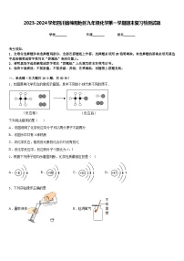 2023-2024学年四川省绵阳地区九年级化学第一学期期末复习检测试题含答案