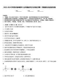 2023-2024学年四川省绵阳市三台外国语学校九年级化学第一学期期末达标测试试题含答案