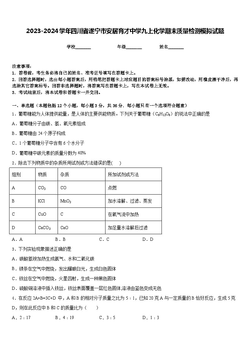 2023-2024学年四川省遂宁市安居育才中学九上化学期末质量检测模拟试题含答案第1页