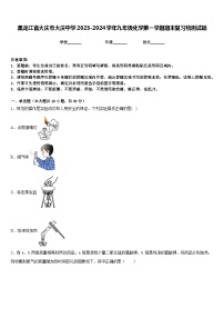 黑龙江省大庆市大庆中学2023-2024学年九年级化学第一学期期末复习检测试题含答案