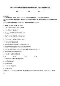 2023-2024学年四川省自贡市富顺县化学九上期末监测模拟试题含答案