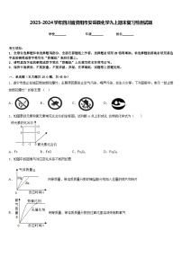 2023-2024学年四川省资阳市安岳县化学九上期末复习检测试题含答案