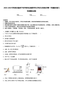 2023-2024学年四川省遂宁市泸州市石洞镇中学心学校九年级化学第一学期期末复习检测模拟试题含答案